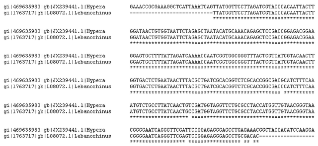 File:Poinar sequence.png