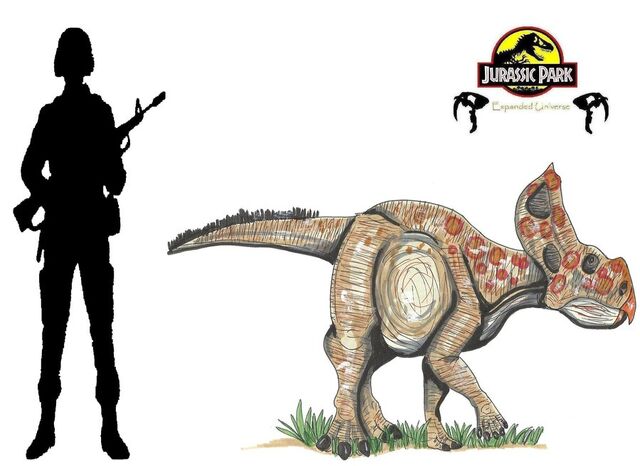 File:JP Protoceratops.jpg