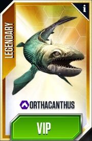 OrthacanthusCard