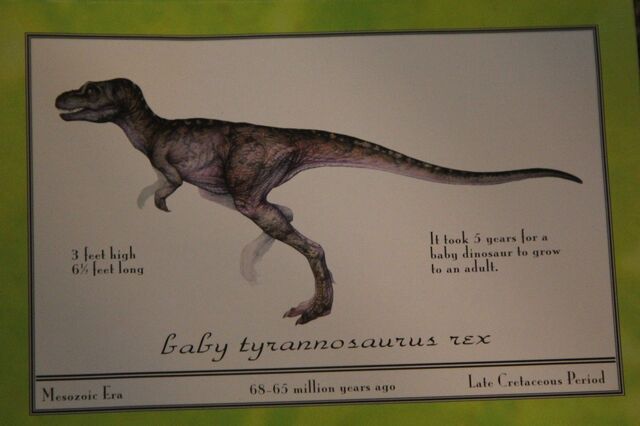 File:Jr.Rex.jpg