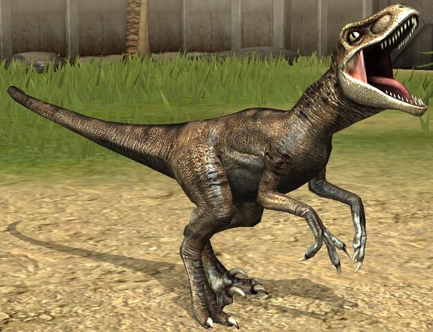 File:Velociraptor lvl 10.jpg