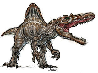 Spino.jpg