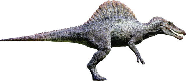 File:Pleaseuseinspino.png