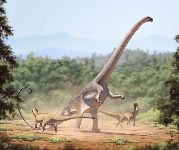 File:Barosaurus lentus1.jpg