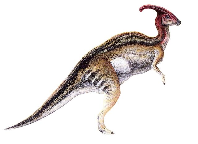 File:TLW para.jpg