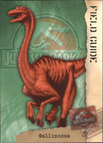 File:2001 Jurassic Park III 3-D 66 Gallimimus front.jpg
