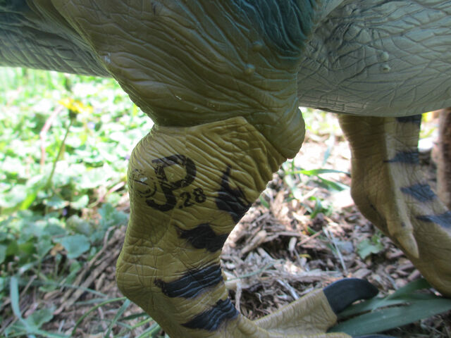 File:Bullrex3.jpg
