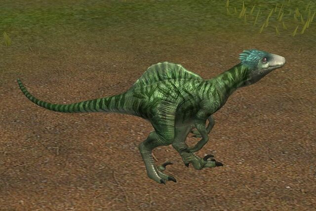 File:Spinoraptor (1) (Hybrid of Spinosaurus + Utahraptor).jpg