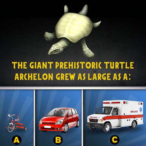 File:14040005 1109325059156411 3120828215830988821 n.png