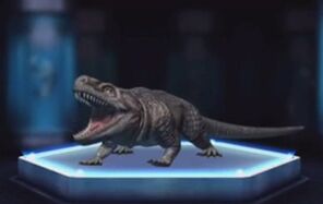 Limnoscelis