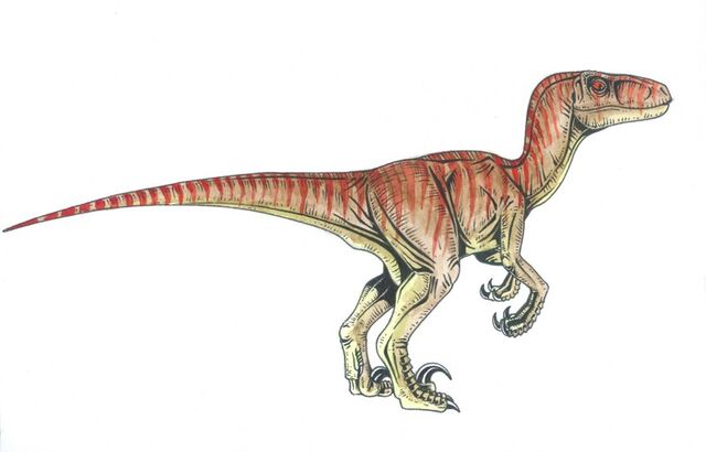 Datei:Velociraptor.jpg