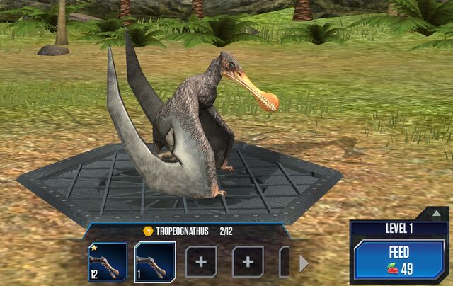File:Tropeognathus Base.jpg