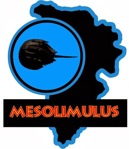 File:Jp Mesolimulus.jpg