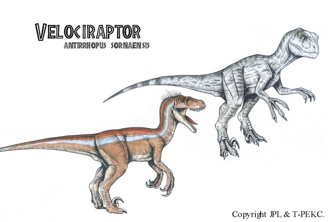 File:SornaRaptor.png