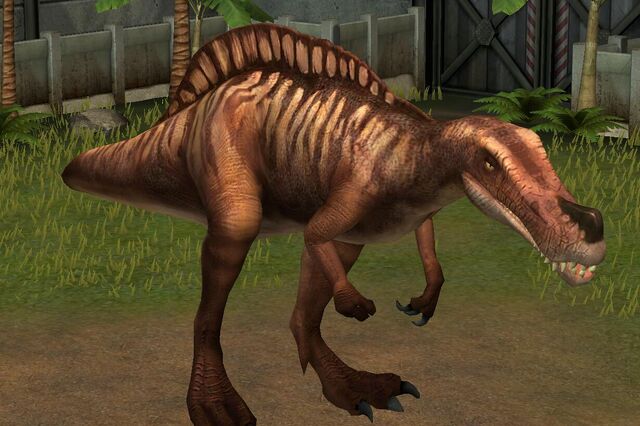 File:Irritator (23).jpg