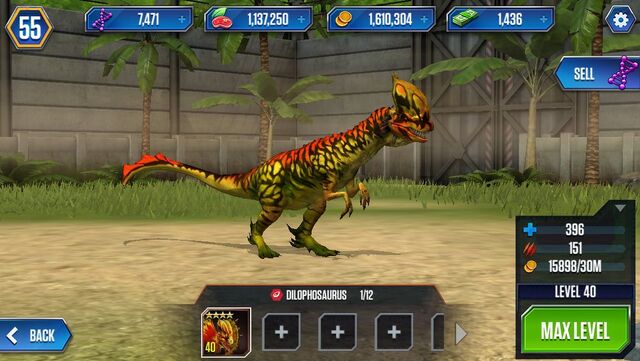 File:Dilophosaurs by wolvesanddogs23-d97p8k4.jpg