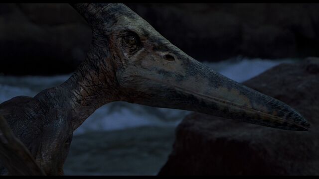 File:JP3Pteranodon.jpg