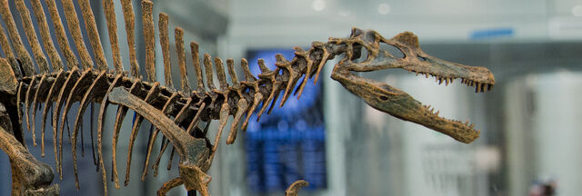 File:Header-background (1).jpg