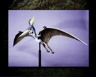 Pteranodonmodel.jpg