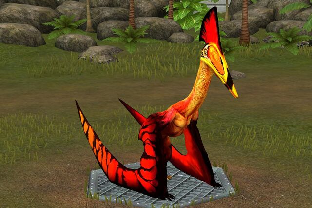 File:Hatzegopteryx (19).jpg