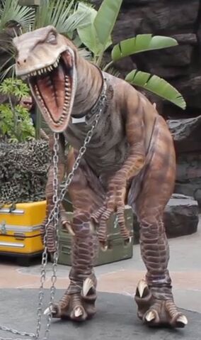 File:Raptor zulu.jpg