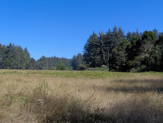File:HPIM0702.jpg