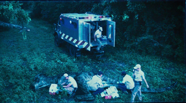 File:JW pachy.png