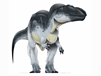Dc card carch big.jpg