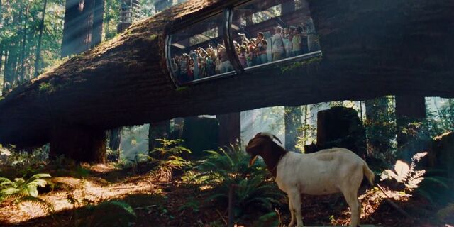 File:TyrannosaurusKingdom.jpeg