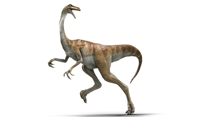 Datei:Gallimimus.png