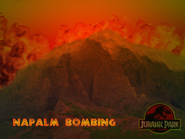 Datei:NAPALM.jpg