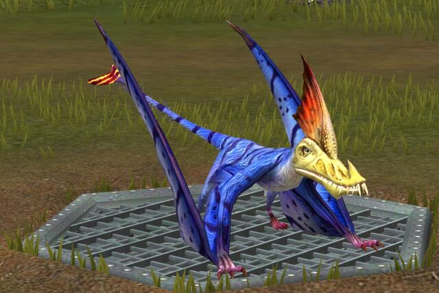 File:Scaphognathus (15).jpg