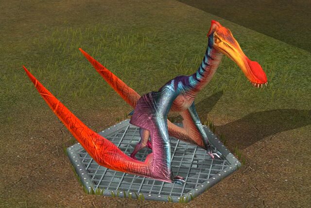 File:Tropeogopterus (2).jpg