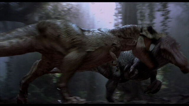 File:RexSpino2.jpg
