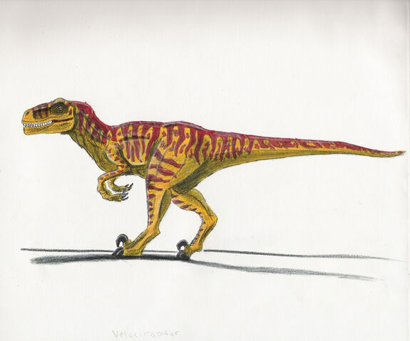File:Novelraptor.jpg