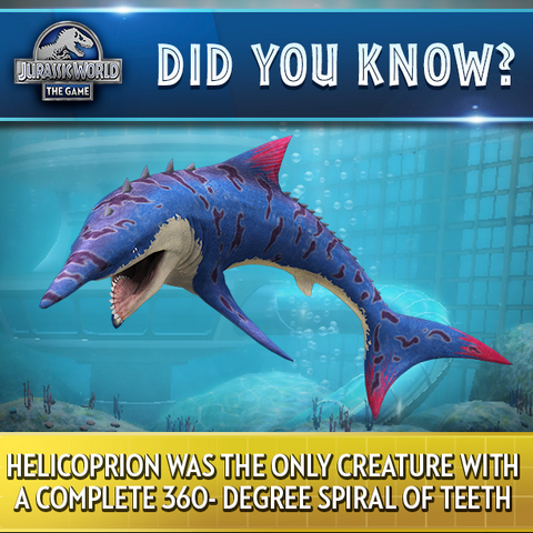 File:13245477 1007320249375210 4905534388956690679 n.png