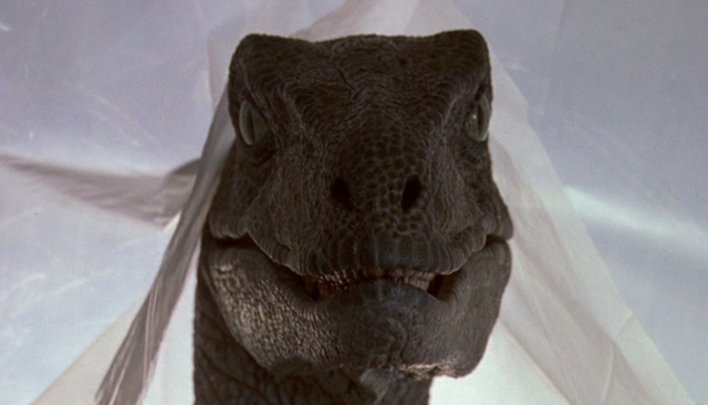 File:Raptortarp-1024x586.png