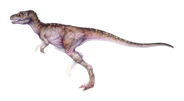 Archivo:T-rex infant.jpg