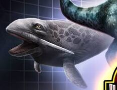 Odobenocetops
