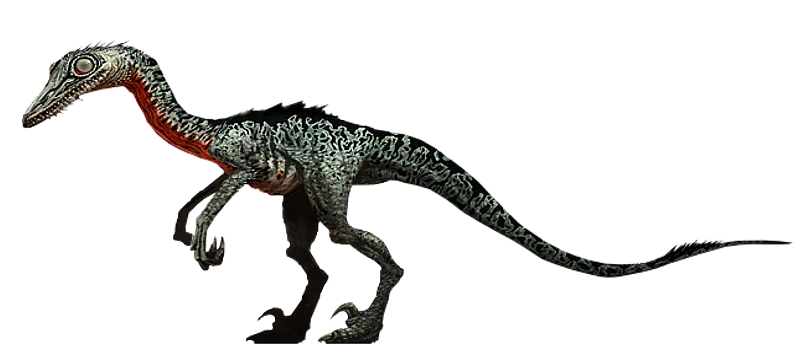 Troodon Jurassic Park wiki FANDOM powered by Wikia Troodon Jurassic Park wiki FANDOM powered by Wikia