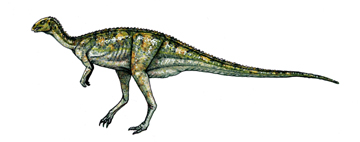 Dryosaurus-0.jpg