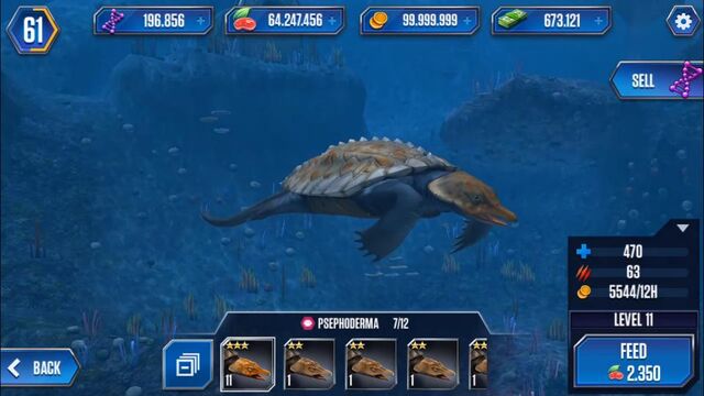 File:11turtle.jpg