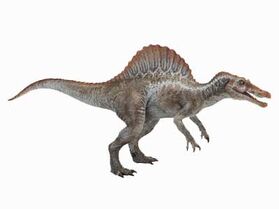 Dc card spino3 big-.jpg