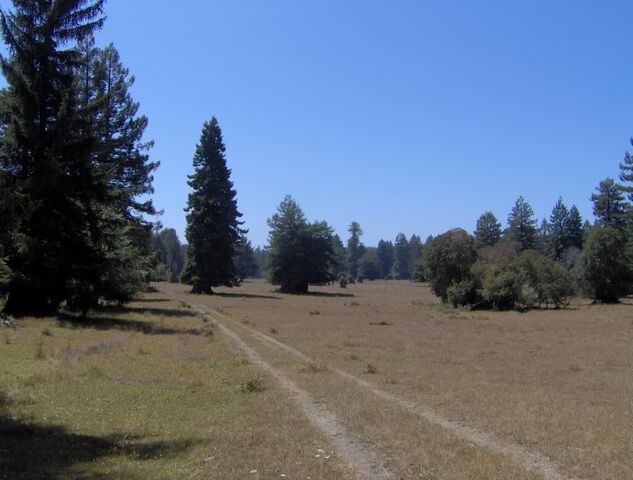 File:HPIM1042.jpg