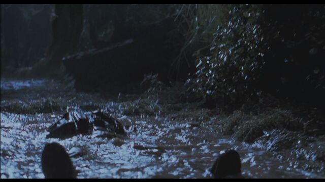 File:Dead Carter.jpeg
