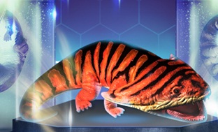 Diplocaulus-0.jpg
