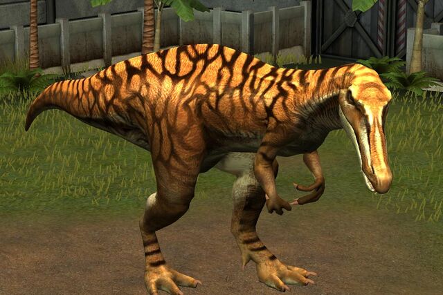 File:Suchomimus Tenerensis (50).jpg
