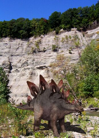File:Stegosaurus.jpg