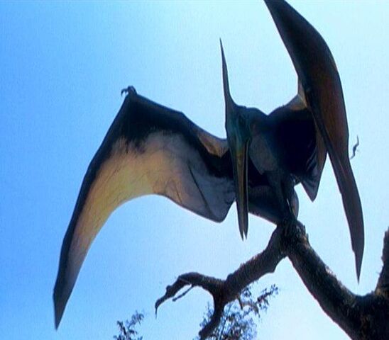 File:Pterosaur.jpg