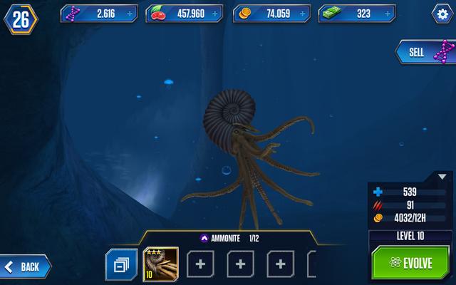 File:Ammonite1.png